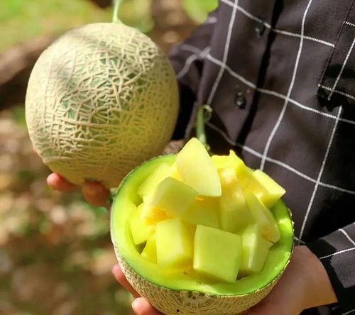 娱乐吃瓜壁纸高清图